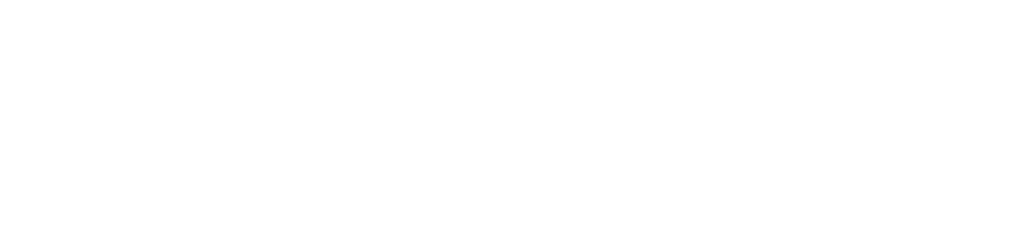 Tryggere Ruspolitikk